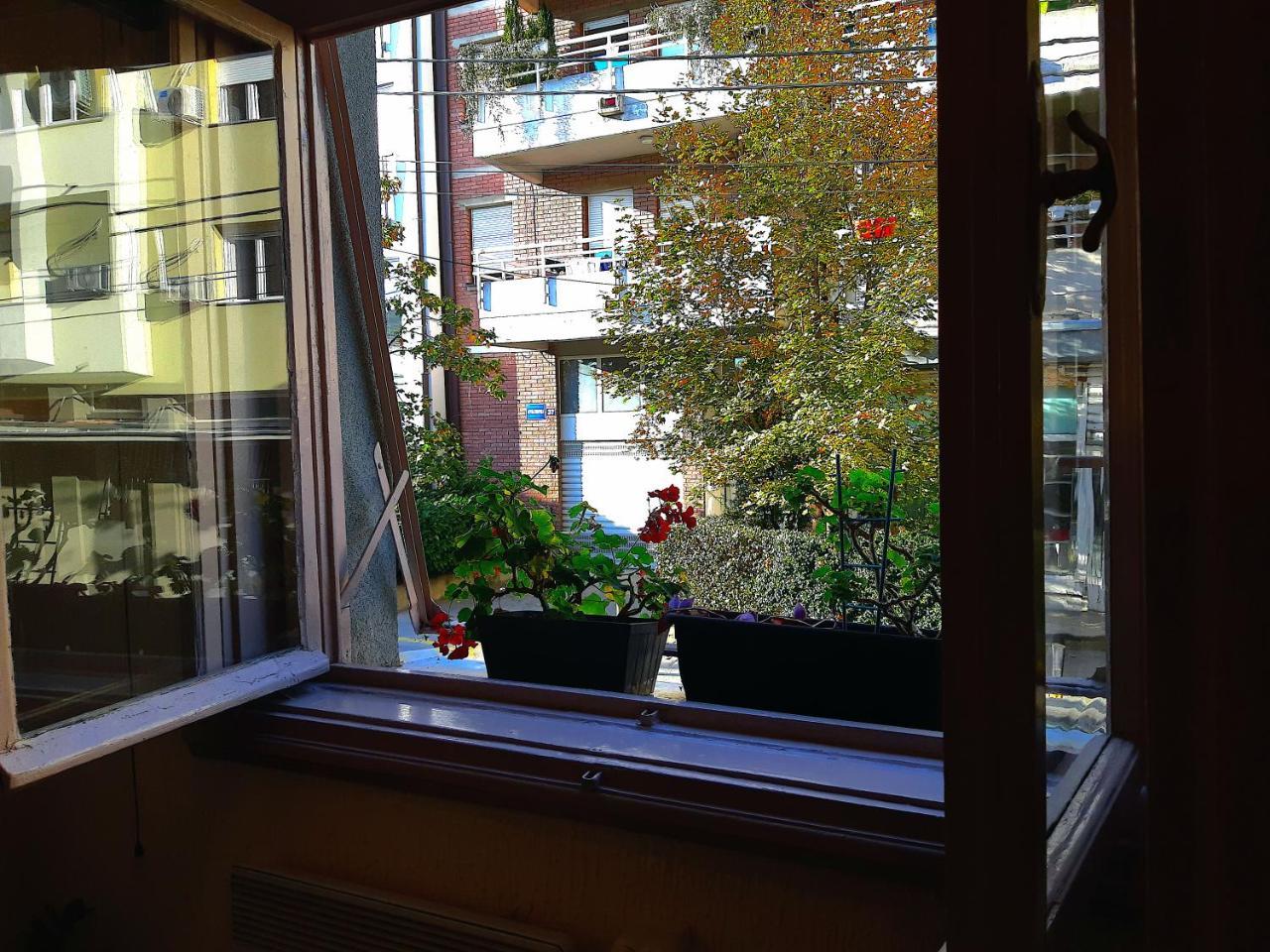 Jelena Apartment Belgrade Extérieur photo